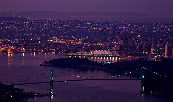Purple Haze