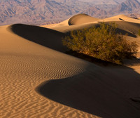 Landscapes