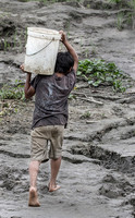 Life on the River