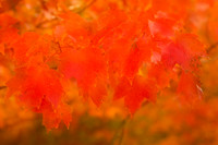 128A1664-Edit