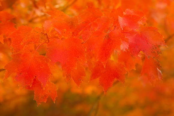 128A1664-Edit