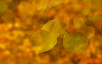 128A1692-Edit