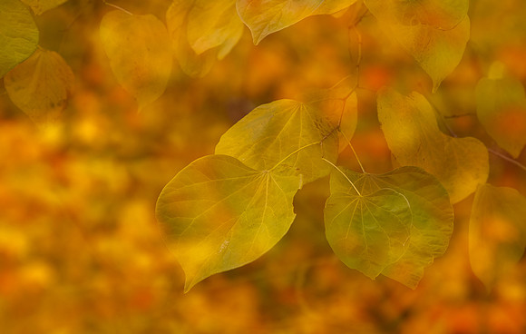 128A1692-Edit
