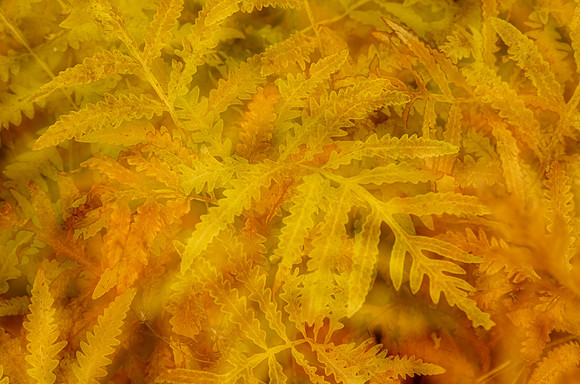 128A1697-Edit