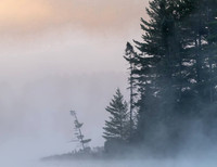 Landscapes