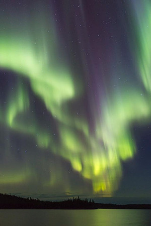 2018 Donated to LHSC Transplant Program "New Canvas of Life" Yellowknife NWT Aurora Borealis 2016