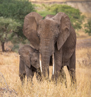 Tanzania 2015