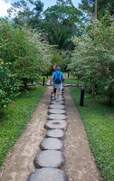 Walkway at our Jungle Stay