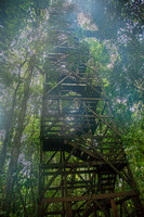 Ladder to the Clouds