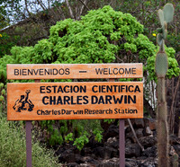 Galapagos