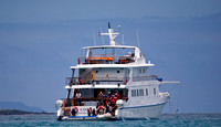 Home in the Galapagos