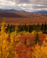 Landscapes