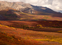 Landscapes
