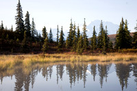 Landscapes