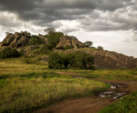 Landscapes