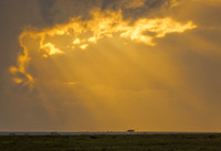 Landscapes