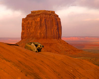 Landscapes