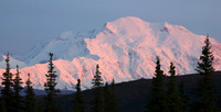 Alaska - Denali 2008