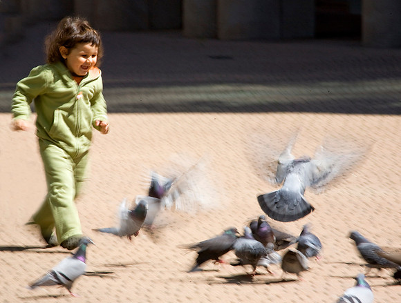 The Chase