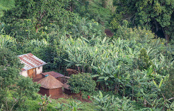 Uganda Life